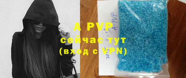a pvp Белокуриха