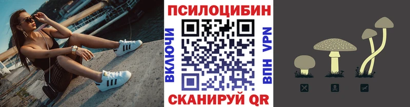 mega   купить наркотик  Кстово  Псилоцибиновые грибы GOLDEN TEACHER 